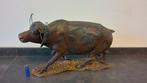 sculptuur, Bufalo africano - 40 cm - Hout, Antiek en Kunst, Curiosa en Brocante