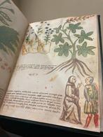 Maestro Ghino - Imago Editore - Segreti e virtù delle erbe., Antiek en Kunst, Antiek | Boeken en Bijbels