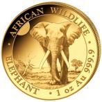 Gouden Somalische Olifant 1 oz 2025, Postzegels en Munten, Munten | Afrika, Verzenden, Overige landen, Losse munt, Goud