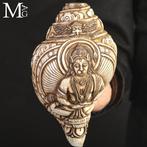 Antieke Hindu Shankha schelp - handgemaakte gravure -