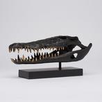 sculptuur, Saltwater Crocodile Skull fashioned in bronze, on