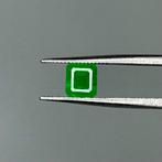 Zonder minimumprijs Groen Smaragd - 0.76 ct - International, Nieuw