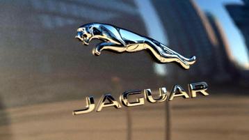 Jaguar Inkoop! Jaguar Verkopen Binnen 2 Uur? Auto Verkopen?