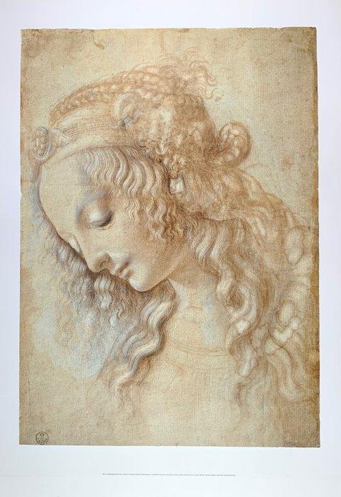 Leonardo da Vinci - Testa di Donna, Womans head - Artprint, Antiek en Kunst, Curiosa en Brocante