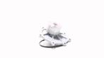 Waterpomp Rover 75  2.5 V6 GWP2602 PA1053, Ophalen of Verzenden, Gebruikt, Rover