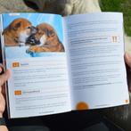 De 4 nieuwe puppy boeken van Puppygroep, Boeken, Dieren en Huisdieren, Puppygroep, Nieuw, Honden, Verzenden