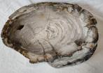 Kom - Bowl - Versteend hout - schaal, Nieuw