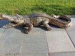 Beeld, beautiful sculpture 100 cm long crocodile in golden