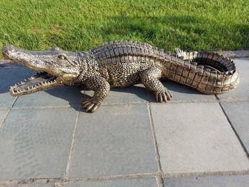 Beeld, beautiful sculpture 100 cm long crocodile in golden beschikbaar voor biedingen