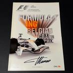 Renault - Gp Belgio Spa Francorchamps 2008 - Fernando Alonso, Nieuw
