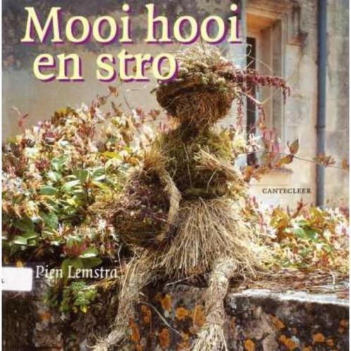 MOOI HOOI EN STRO 9789021328157 P. Lemstra, Boeken, Hobby en Vrije tijd, Gelezen, Verzenden