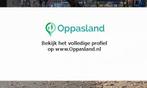 Anouk zoekt een oppas in Utrecht voor 2 kinderen op dinsd...