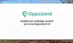 Wout zoekt een oppas in Hilversum voor 2 kinderen., Vacatures, Vacatures | Vakantiewerk