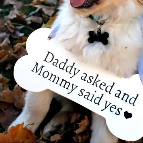 Houten bord honden bot Daddy Asked and Mommy said Yes, Hobby en Vrije tijd, Feestartikelen, Geboorte of Huwelijk, Nieuw, Versiering
