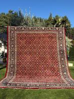 Indo Bidjar - Tapijt - 350 cm - 250 cm, Nieuw