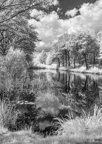 Hans Vos - Small lake in the forest, infrared picture 2025