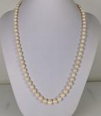 Halsketting - 18 karaat Witgoud Parel - Saffier - Akoya, Nieuw