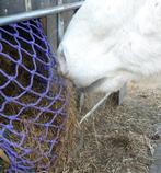 Zeer sterk visnet voor zelfbouw slowfeeders, Ophalen of Verzenden, Nieuw