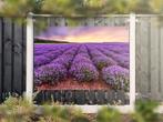 NR 1308: Tuinposter lavendelveld 120x180cm, Nieuw