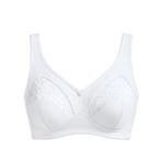 Susa Minimizer-bh (2-delig, Set van 2), Verzenden