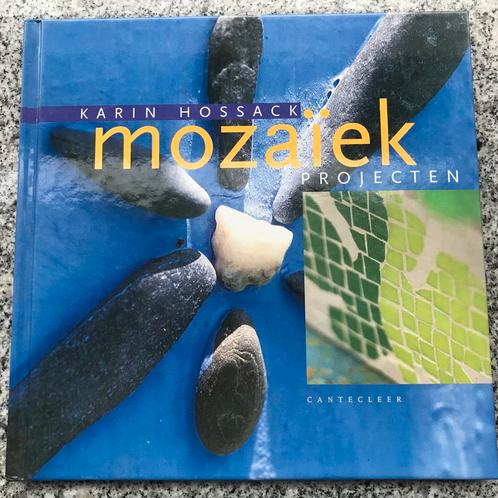 Mozaïekprojecten (Karin Hossack), Boeken, Hobby en Vrije tijd, Verzenden