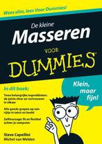 Voor Dummies - De kleine masseren voor Dummies 9789043020435, Gelezen, Fontline, Michel van Welden, Verzenden
