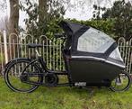 Elektrische bakfietsen Urban Arrows family fietsen, Fietsen en Brommers, Fietsen | Bakfietsen, Overige merken, 4 kinderen of meer