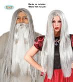 Pruik Grijs Lang Heks Tovenaar, Ophalen of Verzenden, Nieuw