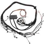 Haltech Elite 2000/2500 Terminated Engine Harness -, Ophalen of Verzenden
