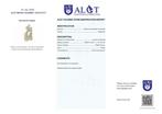 Geen veilingreserve - ALGT-gecertificeerd - Zeldzame, Verzamelen, Mineralen en Fossielen