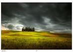 Elena Paraskeva - Val DOrcia - Guardians Of The Hills - XL