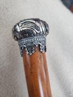 Wandelstok - Palm - Dames wandelstok Malacca