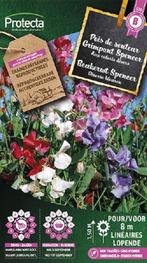 Protecta Bloemen zaden: Reukerwt Spencer Gemengd, Tuin en Terras, Bloembollen en Zaden, Ophalen of Verzenden