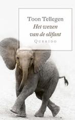 Het wezen van de olifant 9789021408262 Toon Tellegen, Verzenden, Zo goed als nieuw, Toon Tellegen