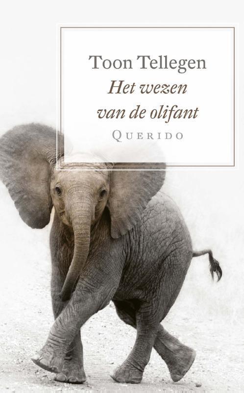 Het wezen van de olifant 9789021408262 Toon Tellegen, Boeken, Romans, Zo goed als nieuw, Verzenden