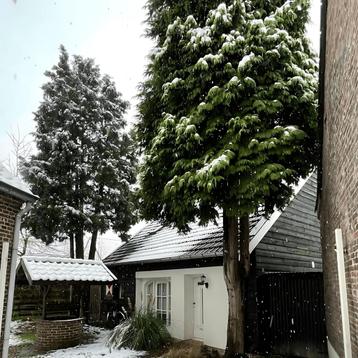 Vrijstaande woning met tuin in het centrum gevonden in Heyth beschikbaar voor biedingen