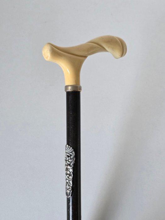 Gedetailleerde Wandelstok - Hout, Bakeliet, Antiek en Kunst, Antiek | Overige Antiek
