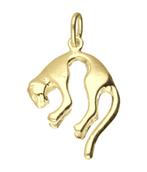 Gouden Panter ketting hanger, Sieraden, Tassen en Uiterlijk, Kettinghangers, Verzenden, Nieuw