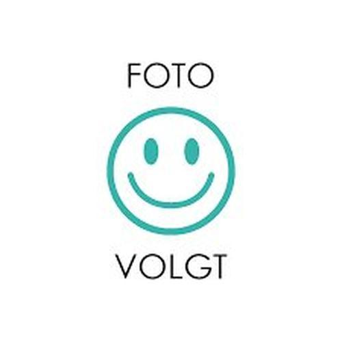 Koffer van Verdriet, Boeken, Schoolboeken, Nieuw, Verzenden