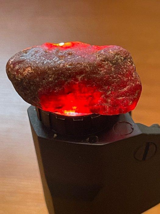 Robijn Ruwe, prachtige Mozambikaanse bloedrobijnkristal., Verzamelen, Mineralen en Fossielen