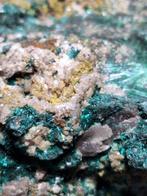 Grote Tsumeb malaquit met galena Exemplaar - Hoogte: 11 cm, Verzamelen, Mineralen en Fossielen