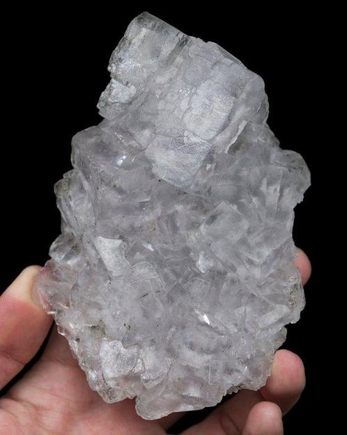 ICE helder FLUORIET uit Spanje (grote kast) - Hoogte: 11.6, Verzamelen, Mineralen en Fossielen