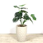 Kunstplant Monstera in sierpot, H125 cm, Ophalen of Verzenden, Nieuw in verpakking
