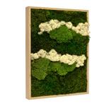 Vintlux Mosschilderij Lappenmos-Rendiermos-Bolmos 60x80 cm, Nieuw