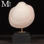 Maoricardium Pseudolima schelp op houten en messing basis, Nieuw