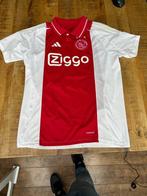 AFC Ajax - Nederlandse voetbal competitie - Steven Berghuis, Nieuw