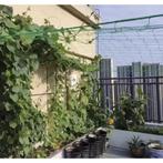 Gardlov Versterkt groen net voor verticale groei klimplan..., Ophalen of Verzenden, Nieuw