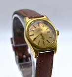 Omega - Genève - Zonder Minimumprijs - Automatic - 566.0065, Sieraden, Tassen en Uiterlijk, Horloges | Heren, Nieuw