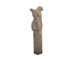 Jana Paroubec (1940-1987), Vrouwen torso op basement