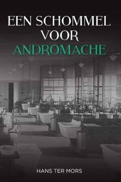 Een schommel voor Andromache 9789051798982 Hans ter Mors, Boeken, Literatuur, Gelezen, Verzenden